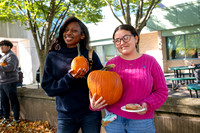 Pumpkin Patch 2025